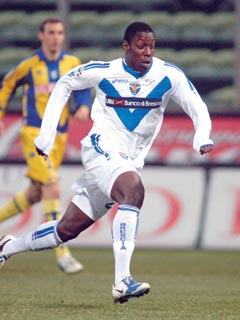 �X�e�t�@�[�m�E�I�J�J�E�`���J