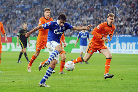 �u���[����vs�V�����P