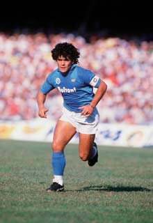 �f�B�G�S�E�}���h�[�i �摜