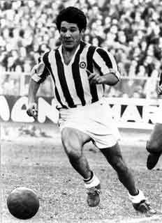 �I�}�[���E�V�{�� �摜