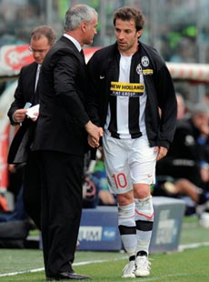 �A���b�T���h���E�f���E�s�G��