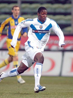 �X�e�t�@�[�m�E�I�J�J�E�`���J