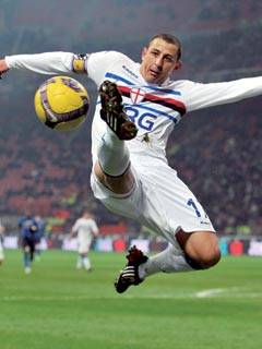 �A���W�F���E�p�����{