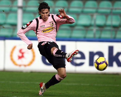 �G�f�B���\���E�J�o�[�j