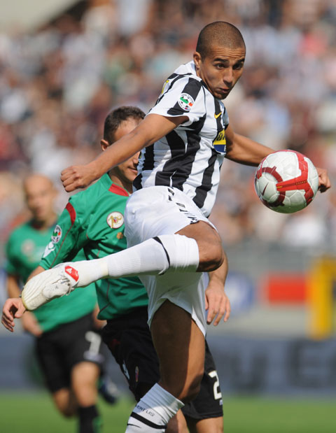 �_���B�h�E�g���[�Q