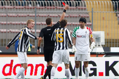 �����F���g�X